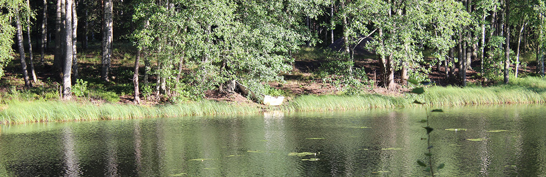 Kalastus Camping Laakasalossa